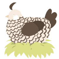 A cream and bark chicken with a lace pattern