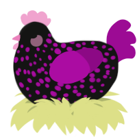 A black and plum chicken with a speckle pattern