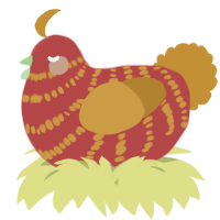 A red and gold chicken with a bar pattern