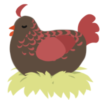 A bark and red chicken with a half-lace pattern
