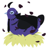 A overcast and sable chicken with a half-bar pattern