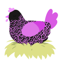 A sable and orchid chicken with a double-lace pattern