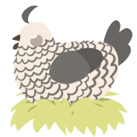 A cream and grey chicken with a lace pattern