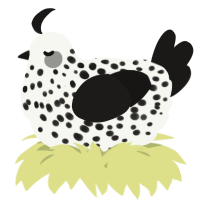 A white and sable chicken with a speckle pattern