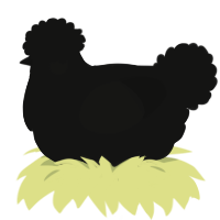 Argon 2, a black chicken