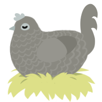 Dustbunny, a ash chicken with a lace pattern