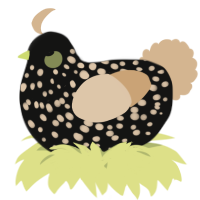A black and beige chicken with a speckle pattern