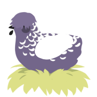 Boss Jr, a overcast and white chicken with a half-lace pattern