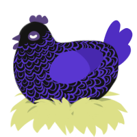 A black and indigo chicken with a double-lace pattern