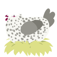 A white and ash chicken with a speckle pattern
