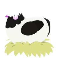 A white and sable chicken with a head pattern