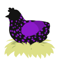 A black and violet chicken with a speckle pattern