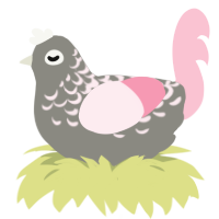 Clam Shell, a ash and rose chicken with a half-lace pattern