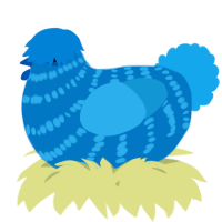 A sapphire and sky chicken with a bar pattern
