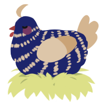 A navy and beige chicken with a bar pattern