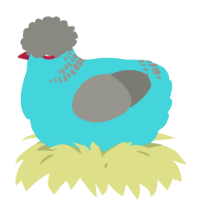 A aqua and ash chicken with a neck-band pattern