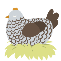 A mist and bark chicken with a lace pattern