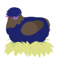 A navy and bark chicken with a head pattern